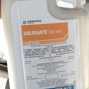 Delgeate 250 WG insecticide